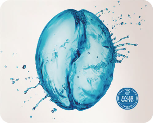 Read more about the article Buencafé Bets On New Swiss Water Premium Decaffeinated Coffee Options