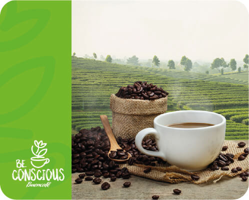 Read more about the article Buencafé, an Environmentally Sustainable Company