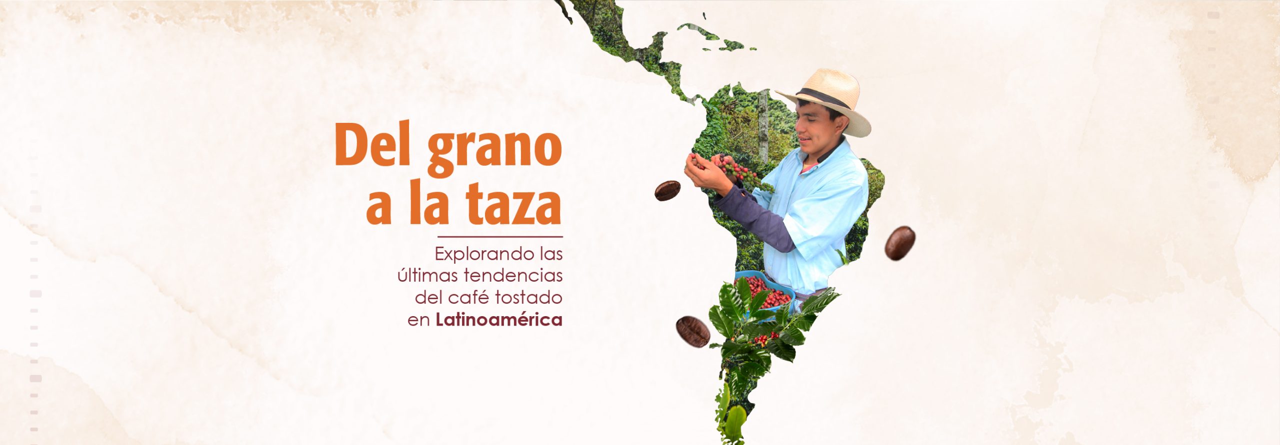 Lee más sobre el artículo From bean to cup