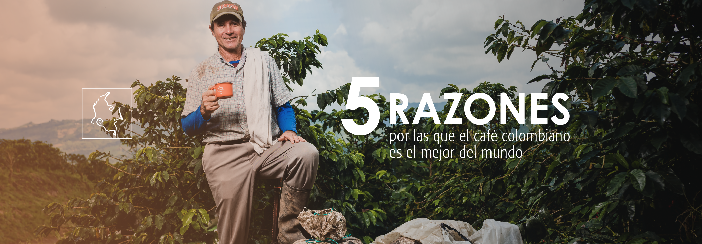 Lee más sobre el artículo 5 Reasons Colombian Coffee is the Best in the World