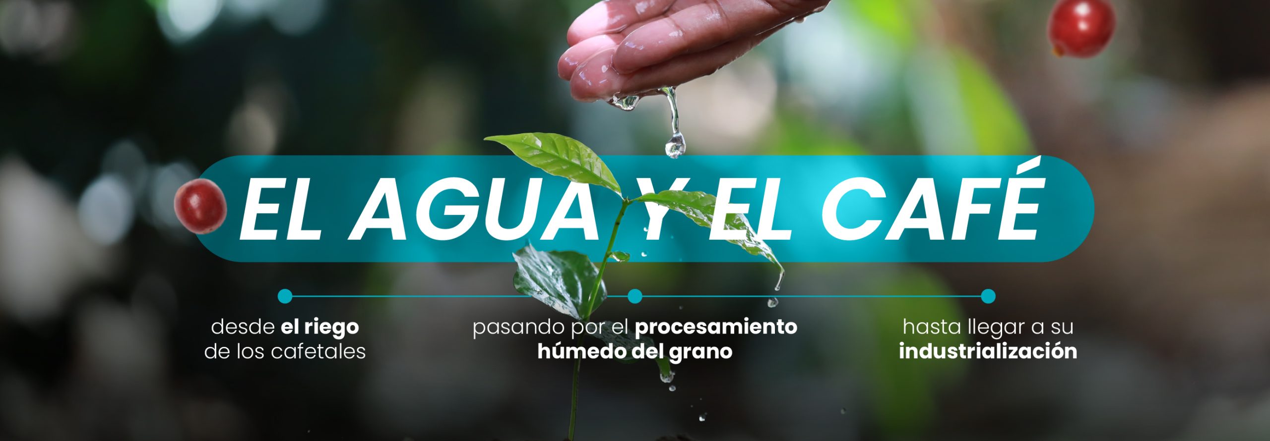 Lee más sobre el artículo Sustainable Water Project By Buencafé and the Colombian Coffee Growers Federation