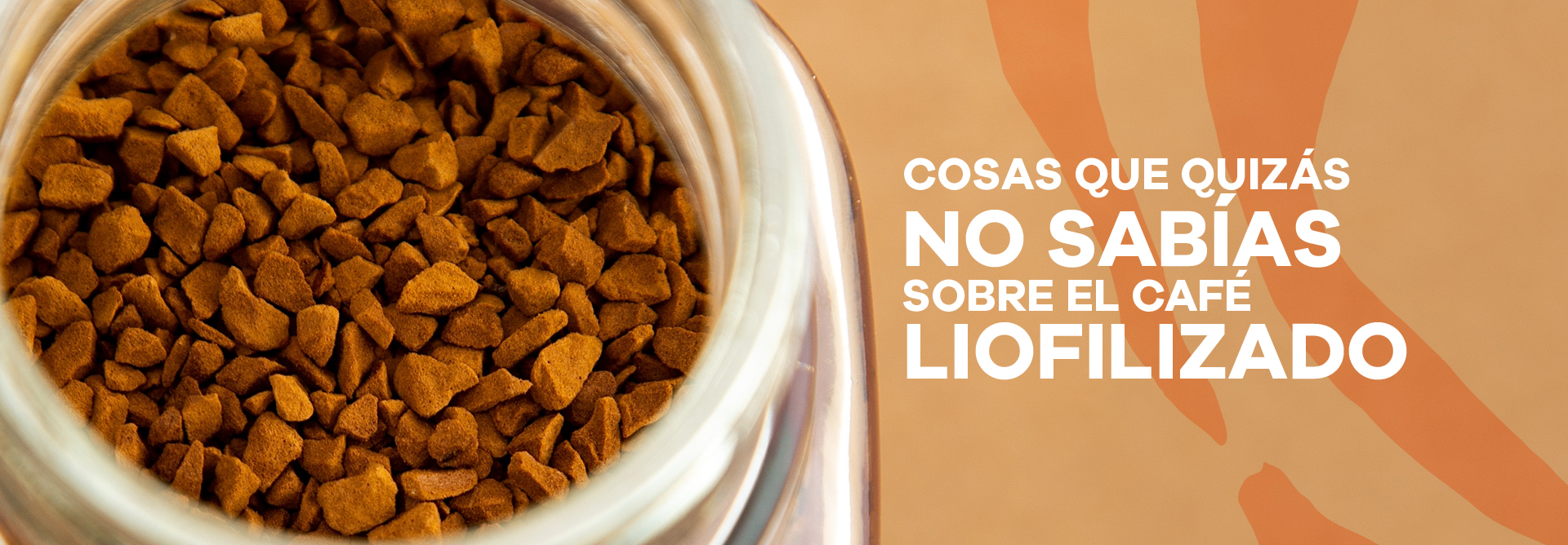 Lee más sobre el artículo Things you might not have known about freeze-dried coffee?