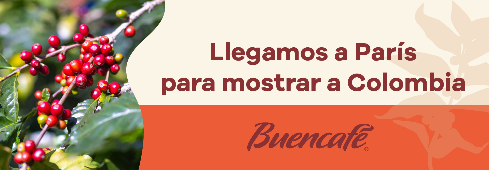 Lee más sobre el artículo 100% Colombian Freeze-Dried Coffee Takes Center Stage at the World Food Innovation Fair: SIAL