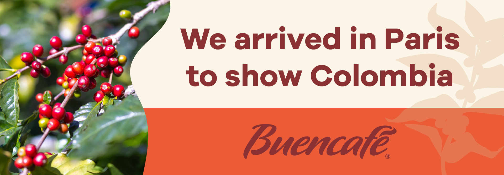 Read more about the article 100% Colombian Freeze-Dried Coffee Takes Center Stage at the World Food Innovation Fair: SIAL