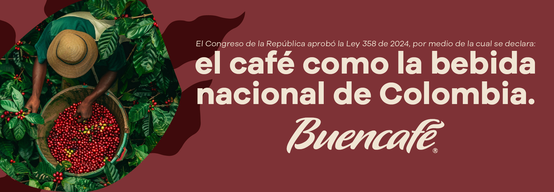 Lee más sobre el artículo The coffee as the national beverage of Colombia
