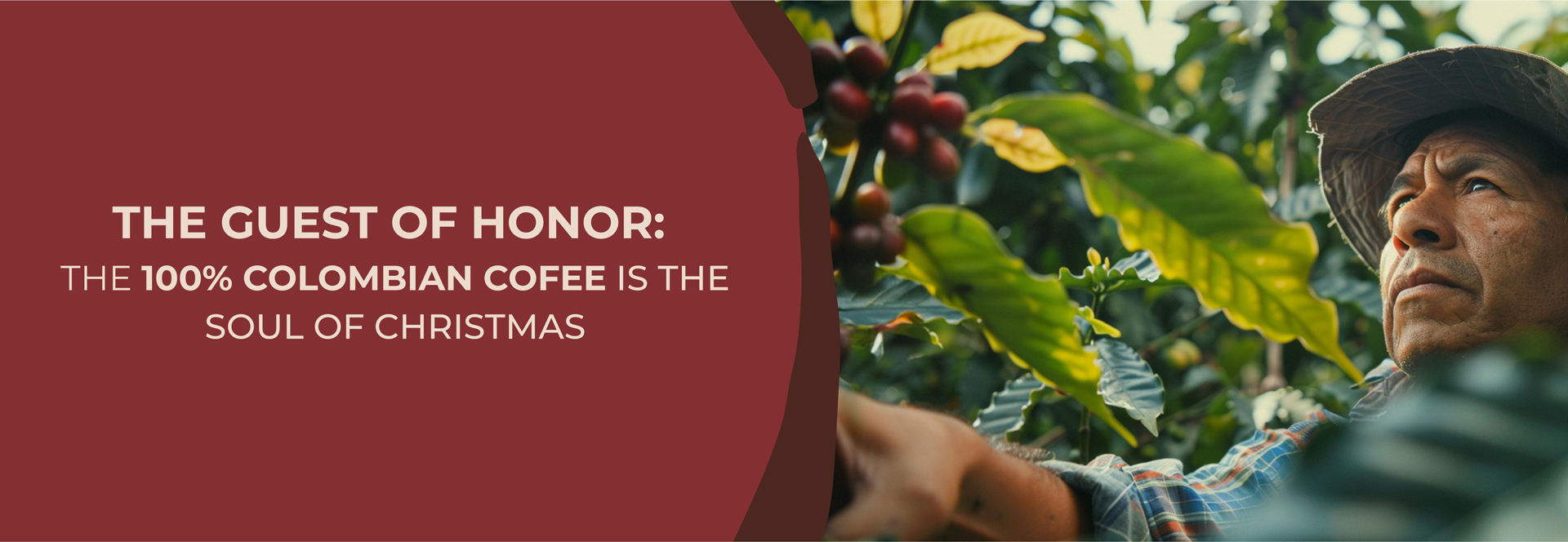 Read more about the article The Guest of Honor: 100% Colombian Coffee is the Heart of Christmas