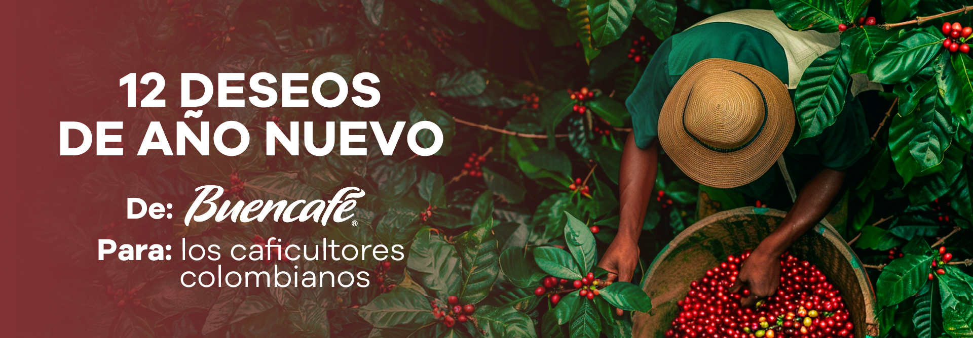 Lee más sobre el artículo 12 New Year’s wishes from Buencafé to Colombian coffee growers