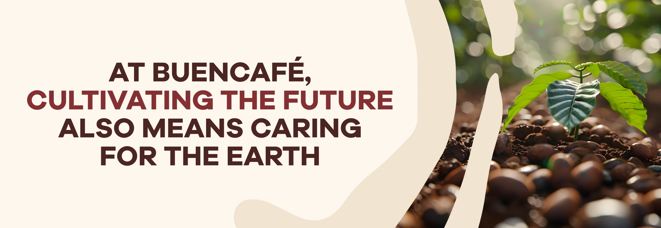 Read more about the article At Buencafé, cultivating the future also means caring for the Earth