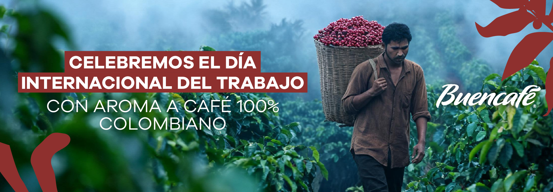 Lee más sobre el artículo International Workers’ Day: A Tribute to Colombian Coffee Families