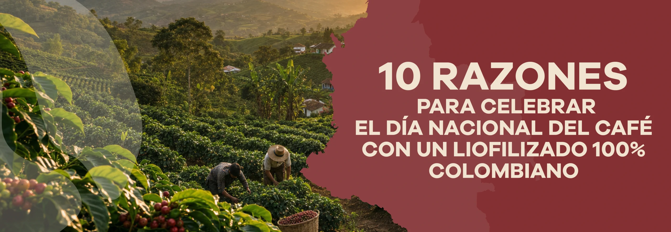 Lee más sobre el artículo 10 Reasons to Celebrate National Coffee Day with 100% Colombian Freeze-Dried Coffee
