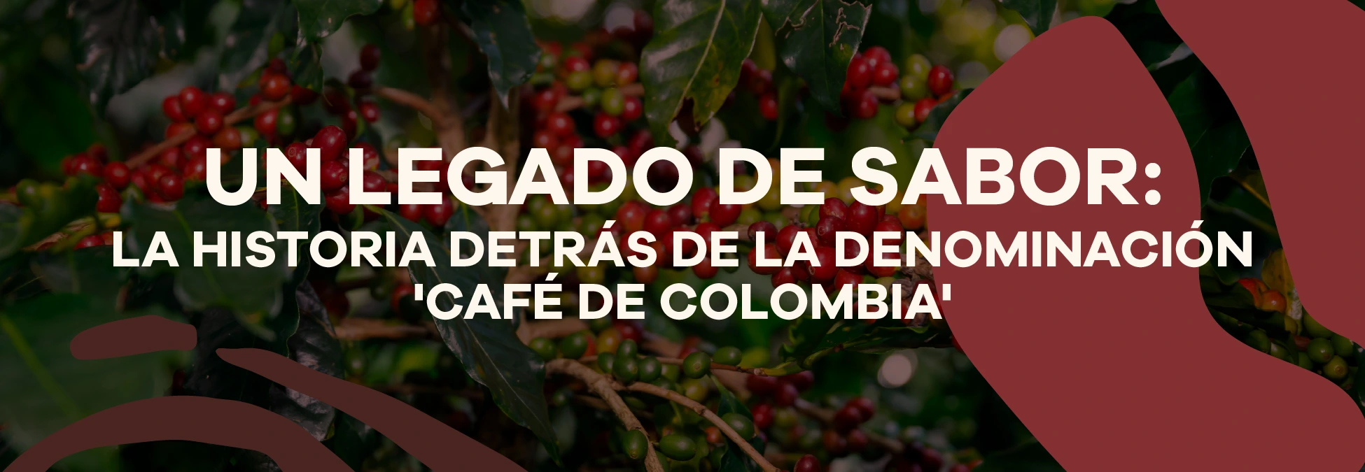 Lee más sobre el artículo A Legacy of Flavor: The Story Behind the Café de Colombia Designation