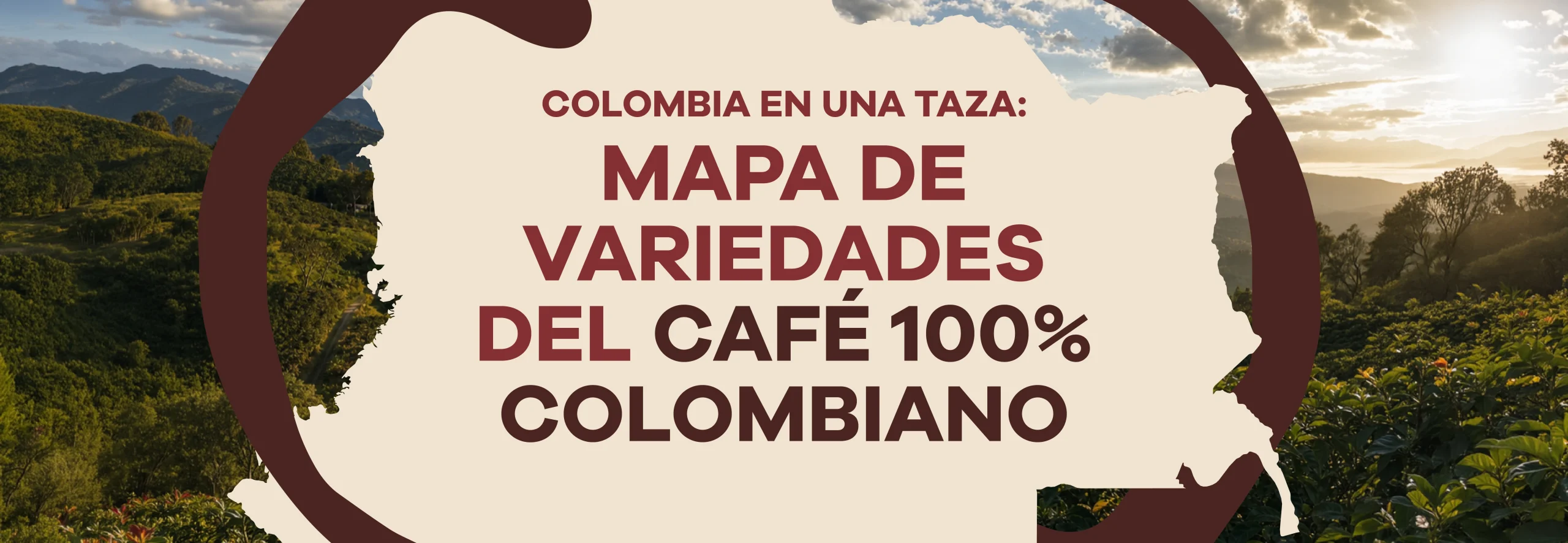 Lee más sobre el artículo Colombia in a Cup: A Map of 100% Colombian Coffee Varieties