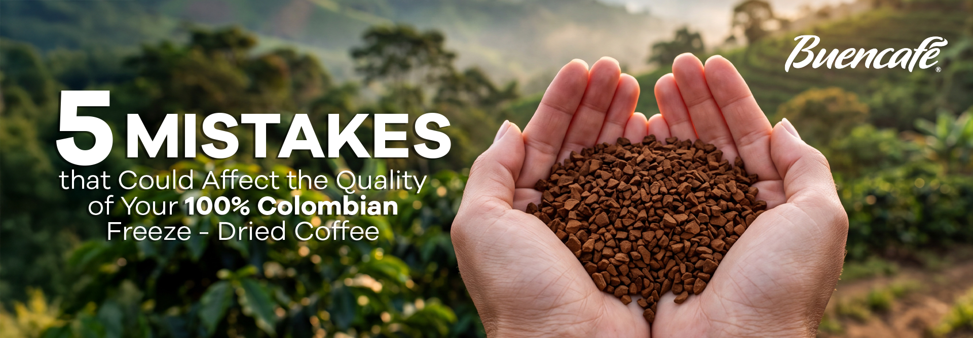 Read more about the article 5 Mistakes That Could Affect the Quality of Your 100% Colombian Freeze-Dried Coffee