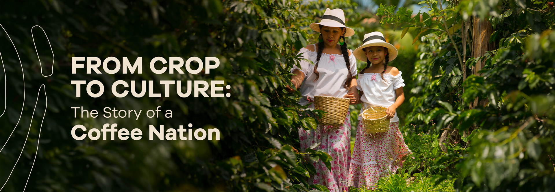 Read more about the article From Crop to Culture: The Story of a Coffee Nation
